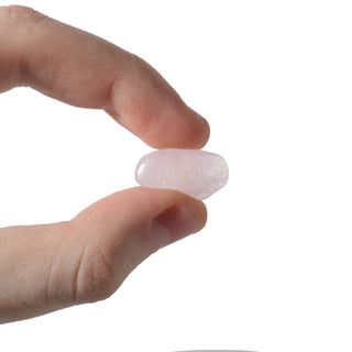 Rose Quartz B Assorted from The Rock Space