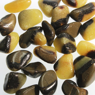 Septarian Tumbled Stones from The Rock Space