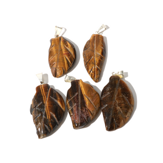 Tiger Eye B Leaf Pendant - Pack of 5    from Stonebridge Imports