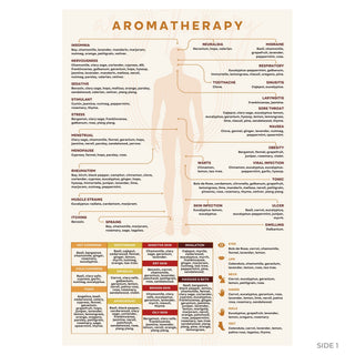 QuickStudy Guide 2.0 - Aromatherapy (PDF File) from The Rock Space