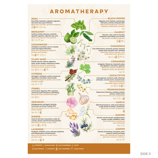 QuickStudy Guide 2.0 - Aromatherapy (PDF File) from The Rock Space