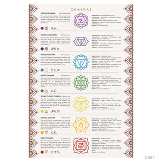 QuickStudy Guide 2.0 - Chakra (PDF File) from Stonebridge Imports