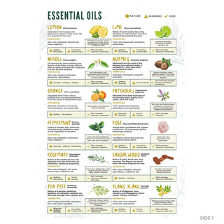 QuickStudy Guide 2.0 - Essential Oils (PDF File) from The Rock Space