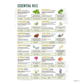 QuickStudy Guide 2.0 - Essential Oils (PDF File) from The Rock Space