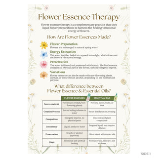 QuickStudy Guide 2.0 - Flower Essence Therapy (PDF File) from The Rock Space