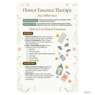QuickStudy Guide 2.0 - Flower Essence Therapy (PDF File) from The Rock Space