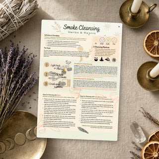QuickStudy Guide 2.0 - Herbs & Cleansing (PDF File) from The Rock Space