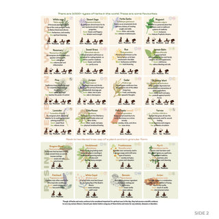 QuickStudy Guide 2.0 - Herbs & Cleansing (PDF File) from The Rock Space