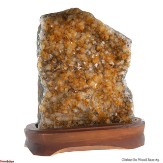 Citrine Cluster on Wood Base #5 - 9" from The Rock Space