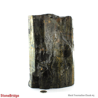 Black Tourmaline Boulder #5 - 6" to 12"    from The Rock Space