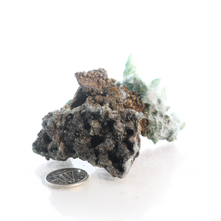 Kobyashevite Mineral Specimen U#07    from The Rock Space