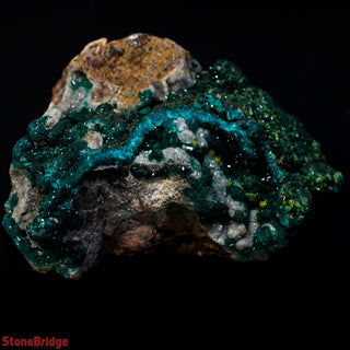 Dioptase Specimen on Matrix U#1 - 2 1/4"    from The Rock Space