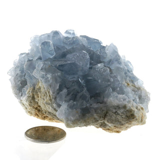 Celestite Geode #1 - 100g to 200g    from The Rock Space