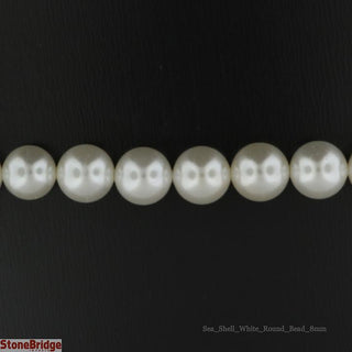 Shell, White Round Strand 15" - 8mm from The Rock Space