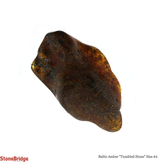 Amber Baltic Tumbled #2    from The Rock Space