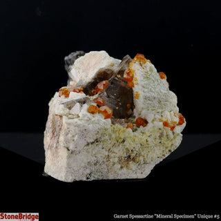 Garnet Spessartine on Smoky Quartz U#5    from The Rock Space