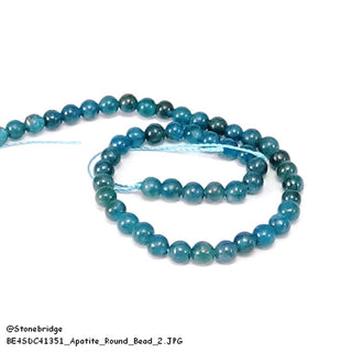 Apatite - Round Strand 7" - 6mm    from Stonebridge Imports