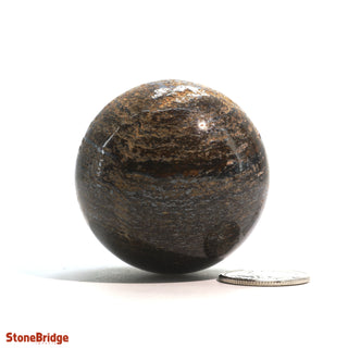 Bronzite Sphere - Extra Small #2 - 1 3/4"    from The Rock Space