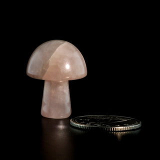 Rose Quartz A Mushroom