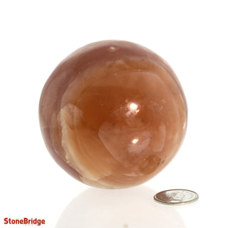 Calcite Honey Sphere - Small #4 - 2 1/2"    from The Rock Space