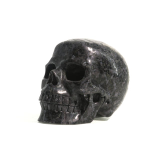 Gabbro Skull U#23    from The Rock Space