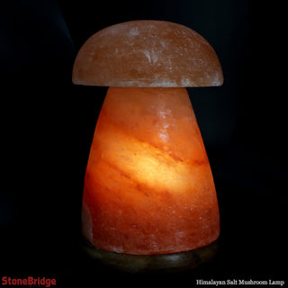 Himalayan Salt Lamp - Mushroom    from The Rock Space