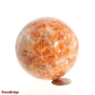 Calcite Orange Sphere - Small #2 - 2 1/4"    from The Rock Space