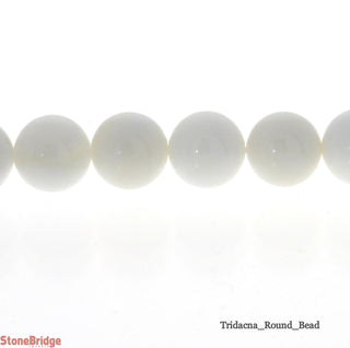 Tridacna - Round Strand 15" - 6mm    from The Rock Space