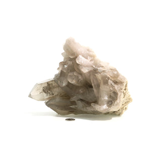 Smoky Quartz Cluster U#4 from The Rock Space