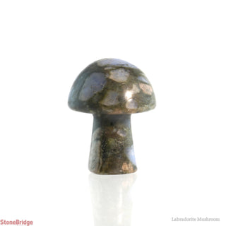 Rhyolite Mushroom from The Rock Space