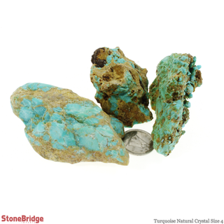 Turquoise Natural Crystal #4 - 1 1/4" to 2"    from The Rock Space