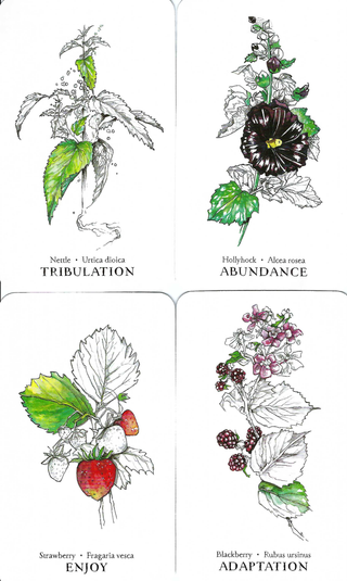 Hedgewitch Botanical Oracle - DECK from The Rock Space