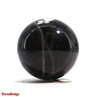 Smoky Quartz Dark Sphere - Small #3 - 2 1/4"    from The Rock Space