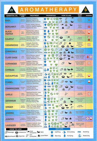 QuickStudy Guide - Aromatherapy    from The Rock Space