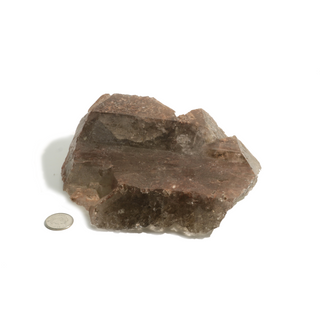 Smoky Quartz Elestial  #6 - 4 1/2 to 6"    from The Rock Space