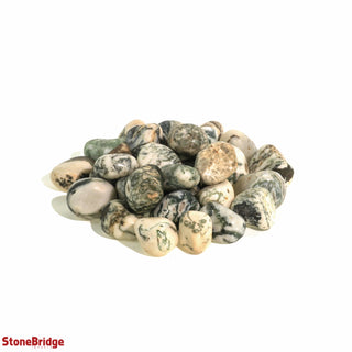 Green Tree Agate Tumbled Stones - India    from The Rock Space