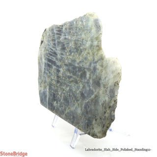 Labradorite Standing Slice Polished U#11 - 6 1/2"    from The Rock Space