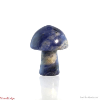 Sodalite Mushroom    from The Rock Space
