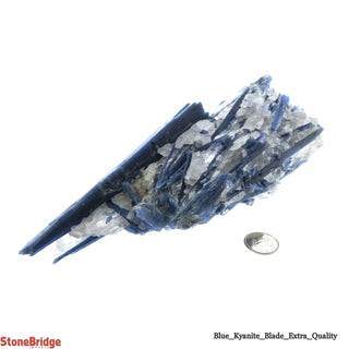 Blue Kyanite E Cluster #7    from The Rock Space