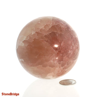 Calcite Rose Sphere - Medium #2 - 2 3/4"    from The Rock Space