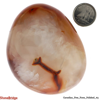 Carnelian Polished Free Form #3 - 150g to 230g    from The Rock Space