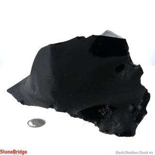 Obsidian Black Chunk #2    from The Rock Space