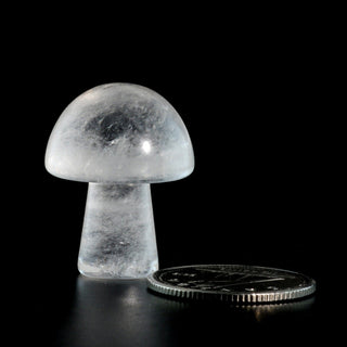 Clear Quartz A Mushroom    from The Rock Space