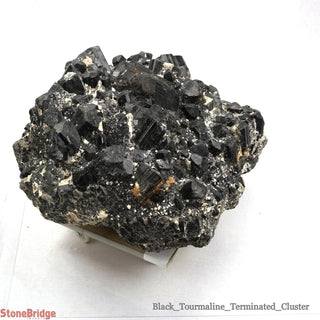 Black Tourmaline Cluster U#1    from Stonebridge Imports