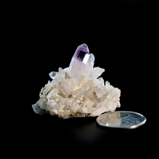 Amethyst Vera Cruz Cluster Specimen    from The Rock Space