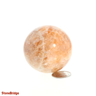 Calcite Orange Sphere - Extra Small #4 - 2"    from The Rock Space