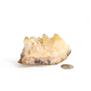 Citrine Cluster #1 - 1" to 2" from The Rock Space