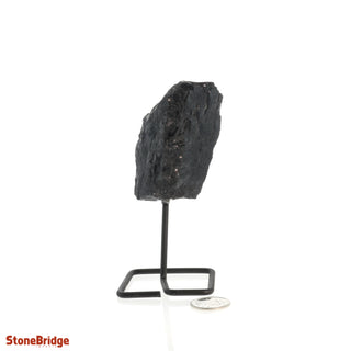 Black Tourmaline on Stand #1    from The Rock Space