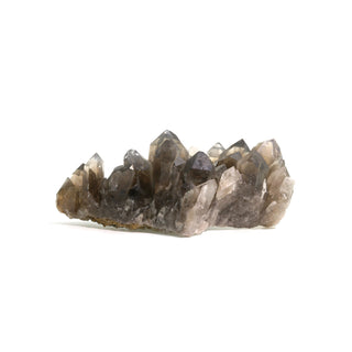 Smoky Quartz Rutilated Cluster U#2    from The Rock Space