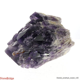 Amethyst Elestial Quartz Cluster U#30 - 8" from The Rock Space